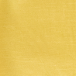 Amarillo narciso