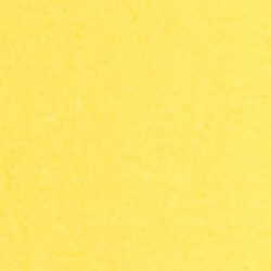 Zitronen-Narzisse