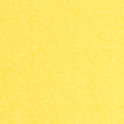 Lemon Daffodil