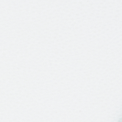 White/Navy