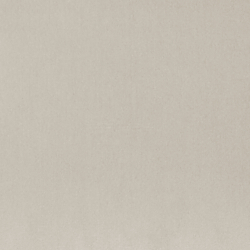 English Riding Velvet - Dove