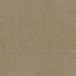 Velo. Engl. Ridi. - Camel