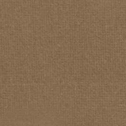 Velo. Engl. Ridi. - Camel