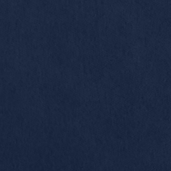 English Riding Velvet - Midnight