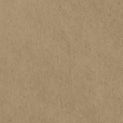 English Riding Velvet - Camel