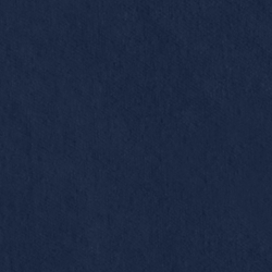 English Riding Velvet - Midnight