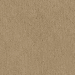 English Riding Velvet - Camel