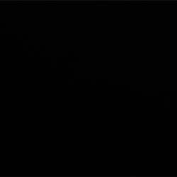 One Fifth Black