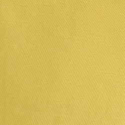 Primrose Yellow