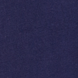Azul-marinho-primaveril