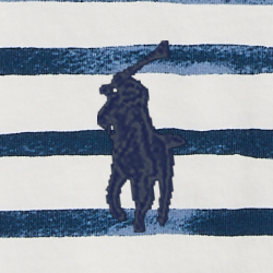 Blue Aquatic Stripe