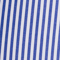 Blue/white Bengal Stripe
